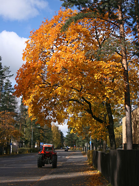 S&auml;hk&ouml;katua